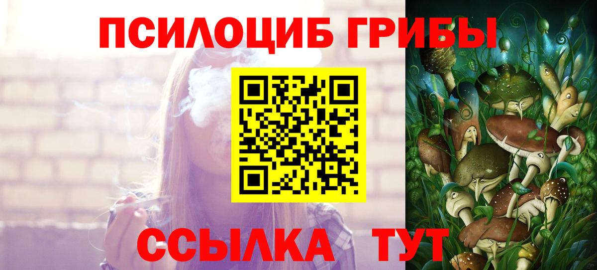 Подольск  Псилоцибиновые грибы Psilocybe  Вход с VPN 