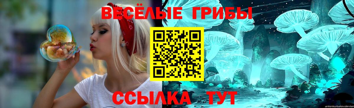 Псилоцибиновые грибы мицелий Подольск